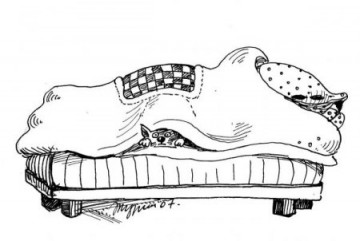 "Правила кошек"  Маргариты Журавлевой