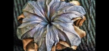 Цветок из металла