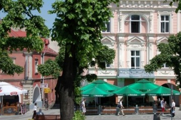 Немецкие СМИ: в Польше все больше ненавидят украинцев и называют отбросами