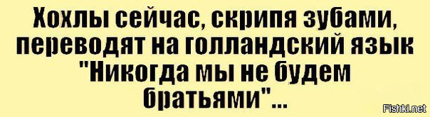 "Мыздобулы" в картинках. Смешных и не очень... 1-11-2016 "Мыздобулы" в картинках. Смешных и не очень... 1-11-2016