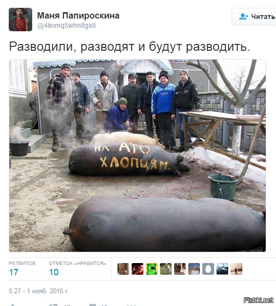 "Мыздобулы" в картинках. Смешных и не очень... 1-11-2016 "Мыздобулы" в картинках. Смешных и не очень... 1-11-2016