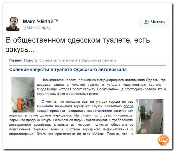 "Мыздобулы" в картинках. Смешных и не очень... 1-11-2016 "Мыздобулы" в картинках. Смешных и не очень... 1-11-2016