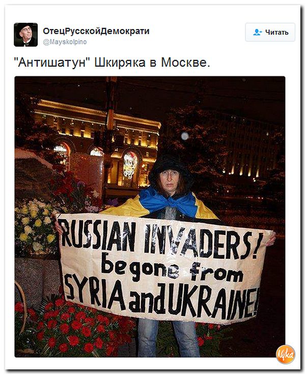 "Мыздобулы" в картинках. Смешных и не очень... 1-11-2016 "Мыздобулы" в картинках. Смешных и не очень... 1-11-2016