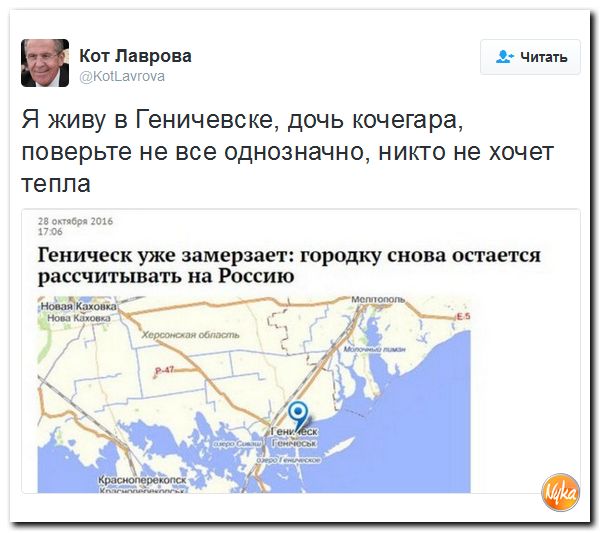 "Мыздобулы" в картинках. Смешных и не очень... 1-11-2016 "Мыздобулы" в картинках. Смешных и не очень... 1-11-2016