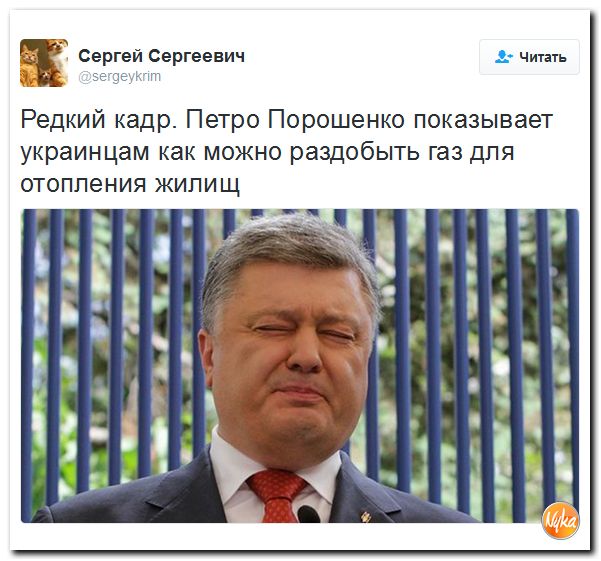 "Мыздобулы" в картинках. Смешных и не очень... 1-11-2016 "Мыздобулы" в картинках. Смешных и не очень... 1-11-2016