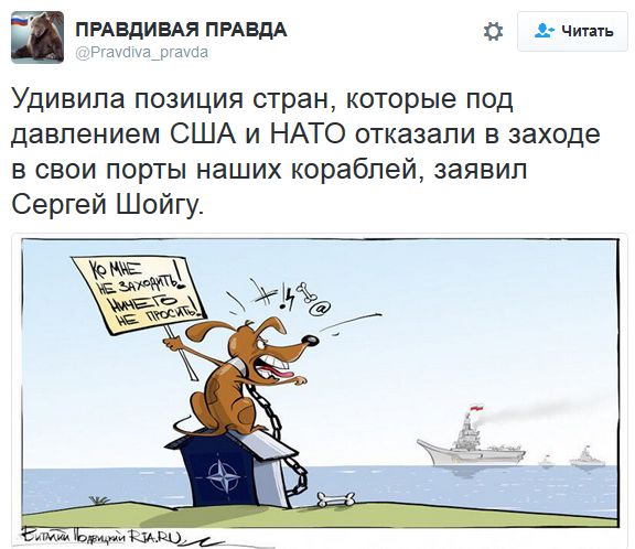 "Мыздобулы" в картинках. Смешных и не очень... 2-11-2016