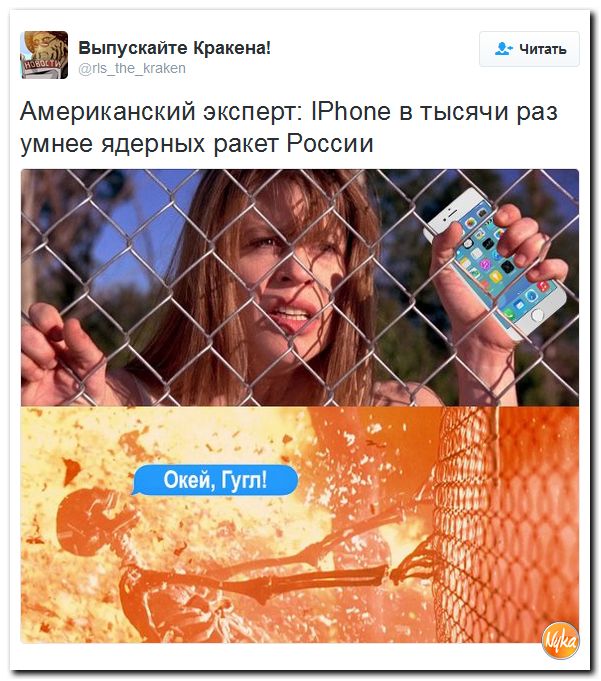 "Мыздобулы" в картинках. Смешных и не очень... 2-11-2016