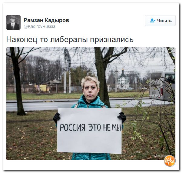 "Мыздобулы" в картинках. Смешных и не очень... 2-11-2016