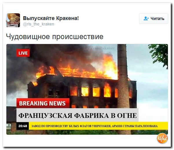 "Мыздобулы" в картинках. Смешных и не очень... 2-11-2016