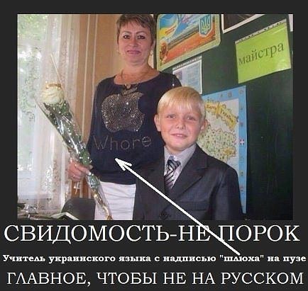 "Мыздобулы" в картинках. Смешных и не очень... 2-11-2016