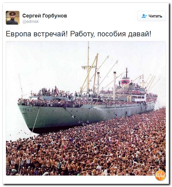 "Мыздобулы" в картинках. Смешных и не очень... 2-11-2016