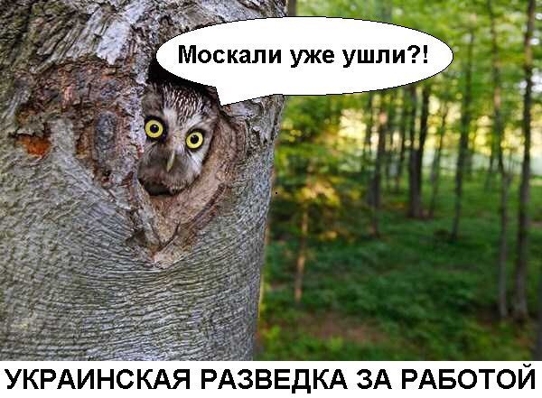 "Мыздобулы" в картинках. Смешных и не очень... 2-11-2016