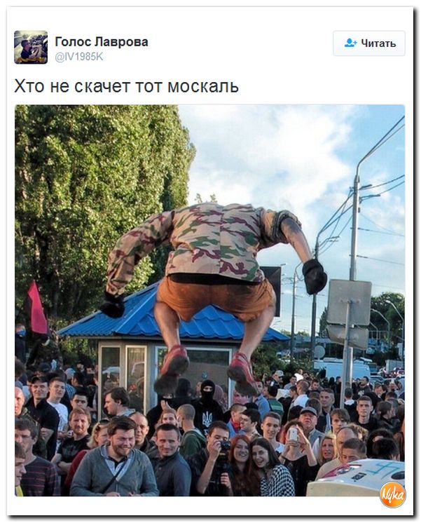 "Мыздобулы" в картинках. Смешных и не очень... 2-11-2016