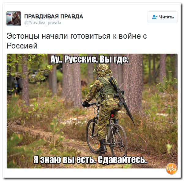 "Мыздобулы" в картинках. Смешных и не очень... 2-11-2016