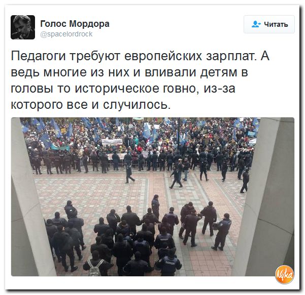 "Мыздобулы" в картинках. Смешных и не очень... 2-11-2016