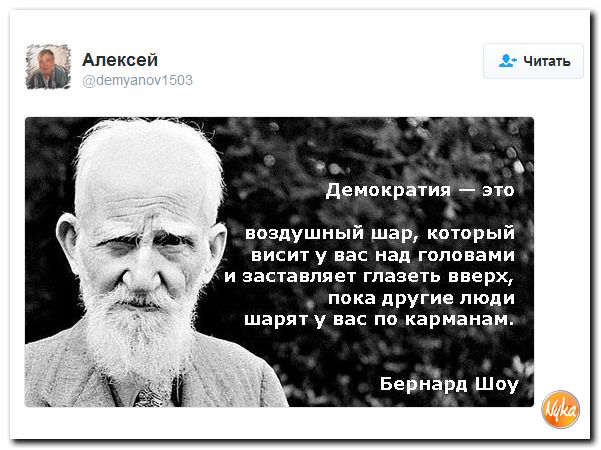 "Мыздобулы" в картинках. Смешных и не очень... 3-11-2016