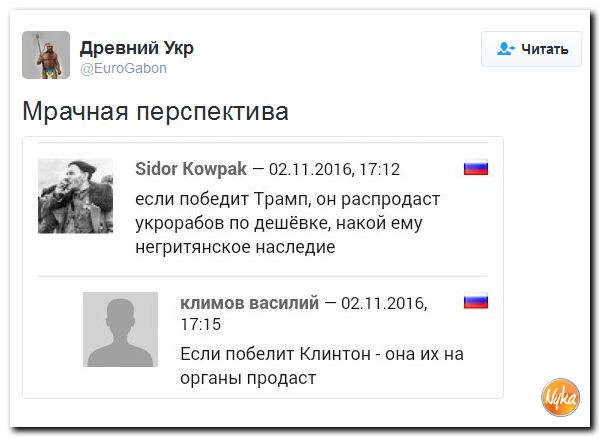 "Мыздобулы" в картинках. Смешных и не очень... 3-11-2016