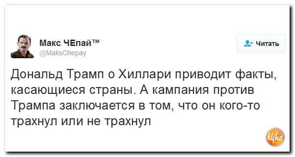 "Мыздобулы" в картинках. Смешных и не очень... 3-11-2016