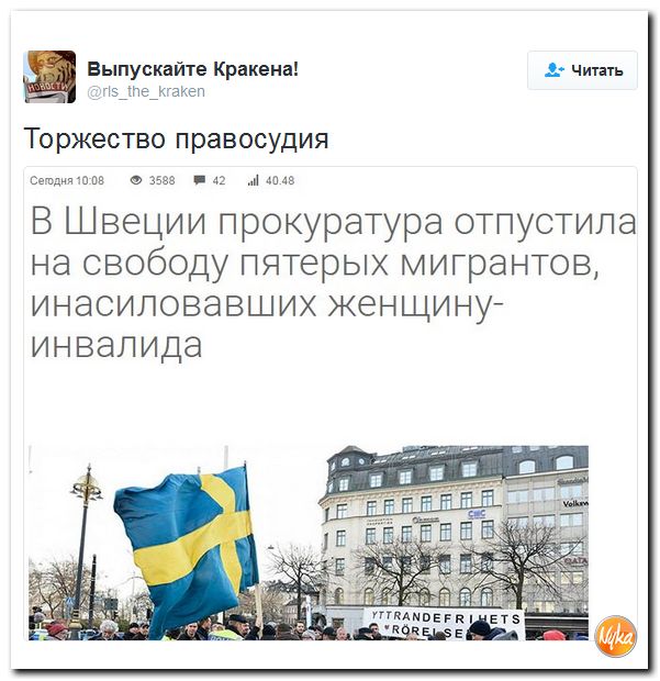 "Мыздобулы" в картинках. Смешных и не очень... 3-11-2016