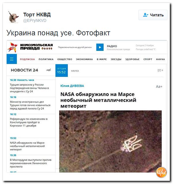 "Мыздобулы" в картинках. Смешных и не очень... 3-11-2016