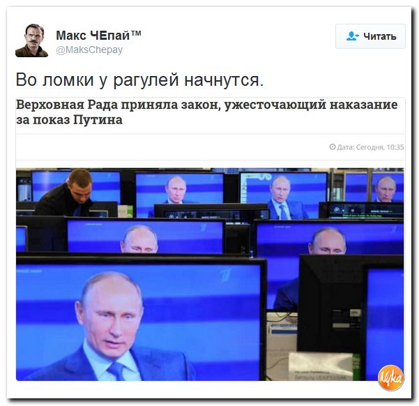 "Мыздобулы" в картинках. Смешных и не очень... 3-11-2016