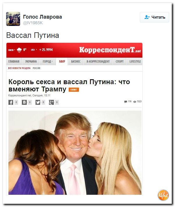 "Мыздобулы" в картинках. Смешных и не очень... 3-11-2016