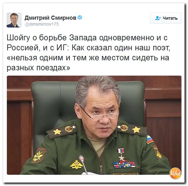 "Мыздобулы" в картинках. Смешных и не очень... 3-11-2016