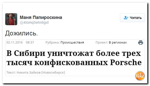 "Мыздобулы" в картинках. Смешных и не очень... 3-11-2016