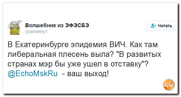 "Мыздобулы" в картинках. Смешных и не очень... 3-11-2016