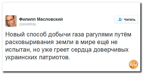 "Мыздобулы" в картинках. Смешных и не очень... 4-11-2016