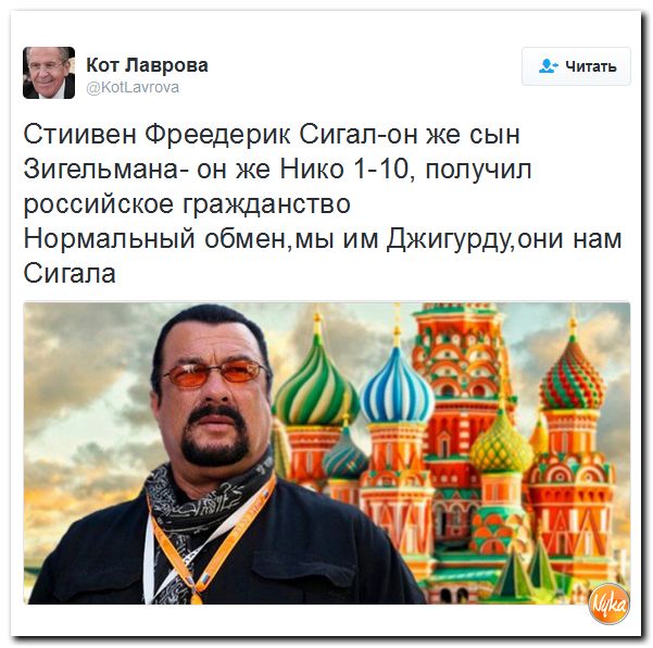 "Мыздобулы" в картинках. Смешных и не очень... 4-11-2016