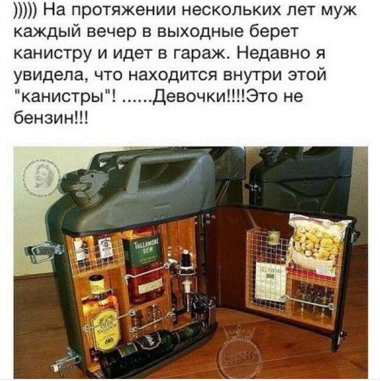 "Мыздобулы" в картинках. Смешных и не очень... 4-11-2016