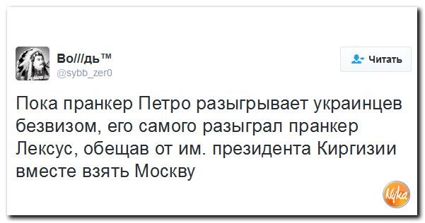 "Мыздобулы" в картинках. Смешных и не очень... 4-11-2016