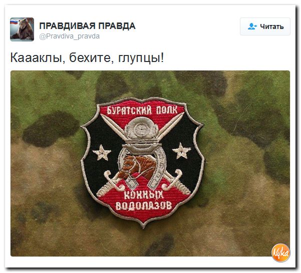 "Мыздобулы" в картинках. Смешных и не очень... 4-11-2016