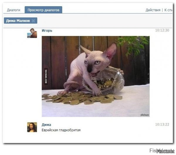 "Мыздобулы" в картинках. Смешных и не очень... 4-11-2016