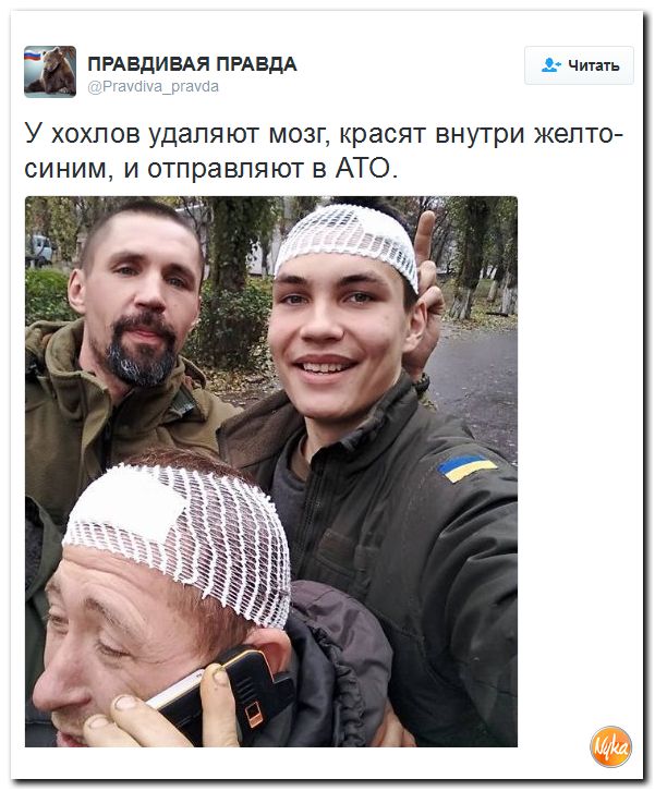 "Мыздобулы" в картинках. Смешных и не очень... 4-11-2016