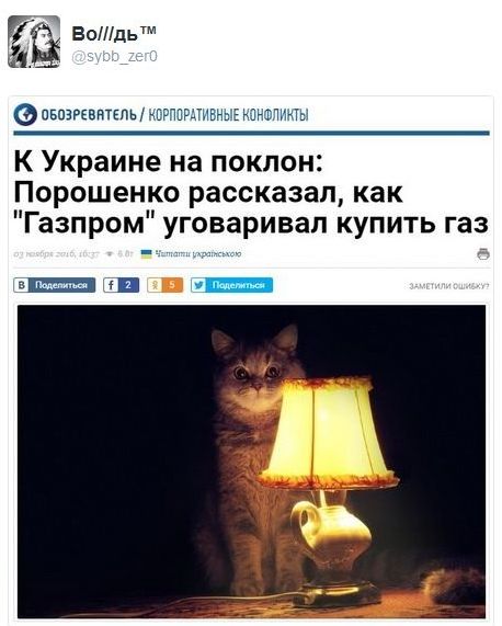 "Мыздобулы" в картинках. Смешных и не очень... 4-11-2016