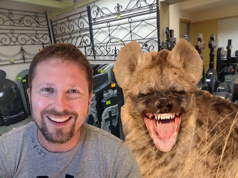 Жирные гуси полетели к Трампу