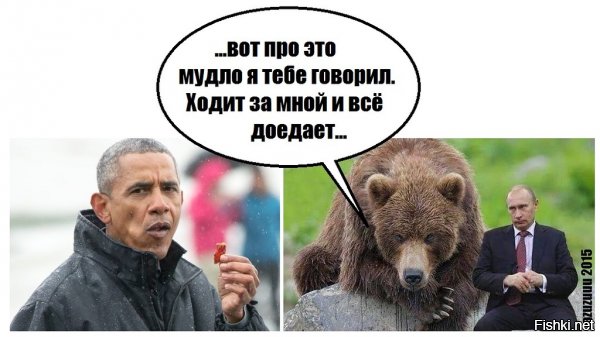 "Мыздобулы" в картинках. Смешных и не очень... 9-11-2016