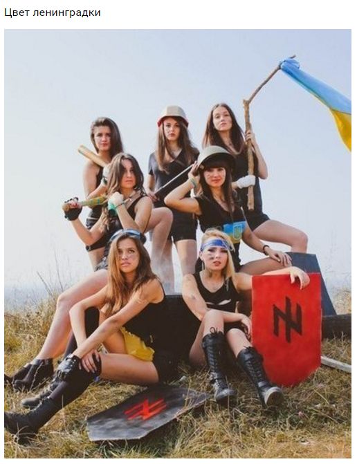 "Мыздобулы" в картинках. Смешных и не очень... 9-11-2016 (2) "Мыздобулы" в картинках. Смешных и не очень... 9-11-2016 (2)