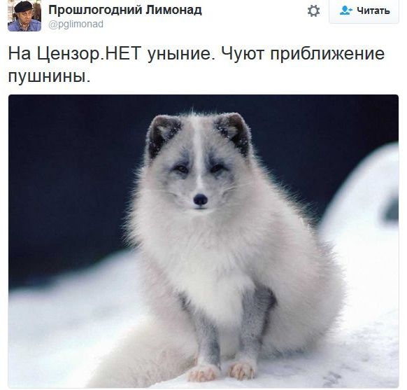 "Мыздобулы" в картинках. Смешных и не очень... 9-11-2016 (2) "Мыздобулы" в картинках. Смешных и не очень... 9-11-2016 (2)