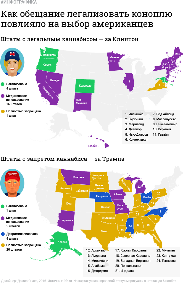 Как марихуана повлияла на выборы президента США Как марихуана повлияла на выборы президента США