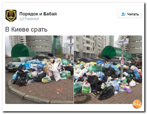 "Мыздобулы" в картинках. Смешных и не очень... 12-11-2016