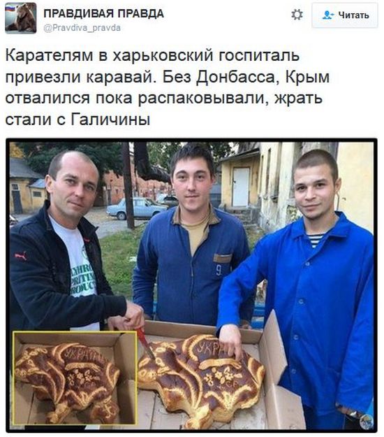 "Мыздобулы" в картинках. Смешных и не очень... 12-11-2016