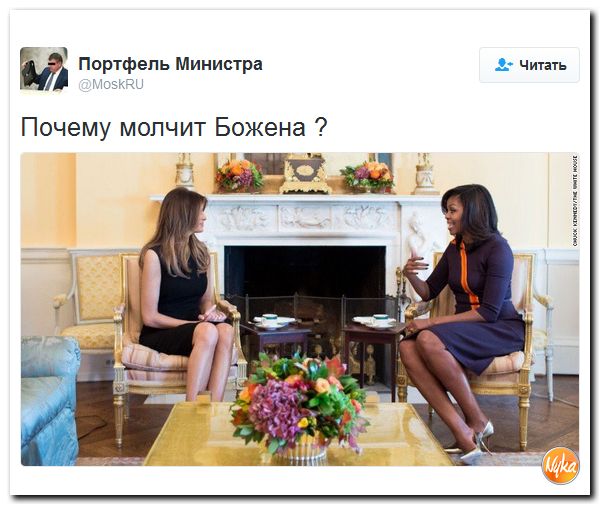 "Мыздобулы" в картинках. Смешных и не очень... 12-11-2016