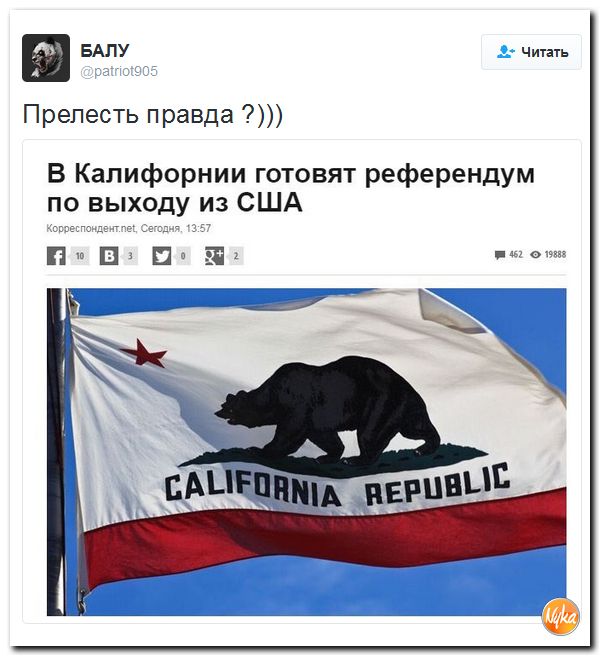 "Мыздобулы" в картинках. Смешных и не очень... 12-11-2016