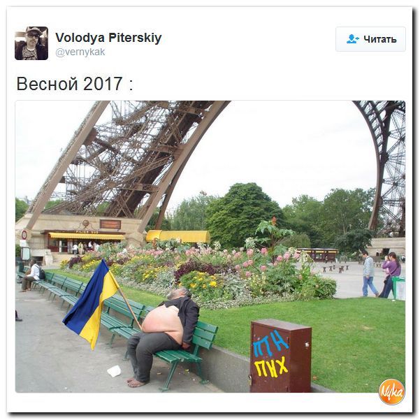 "Мыздобулы" в картинках. Смешных и не очень... 12-11-2016