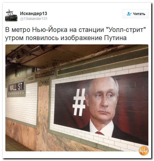 "Мыздобулы" в картинках. Смешных и не очень... 12-11-2016