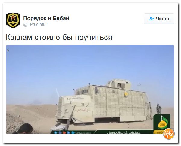 "Мыздобулы" в картинках. Смешных и не очень... 12-11-2016