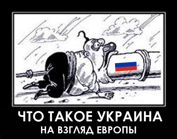 "Мыздобулы" в картинках. Смешных и не очень... 12-11-2016